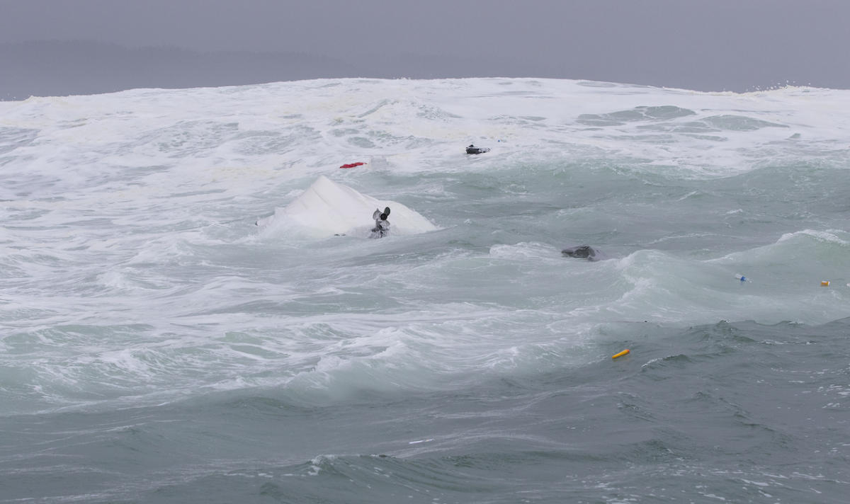 Mavericks spot surf USA le 18 janvier 2018